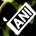 ANI News